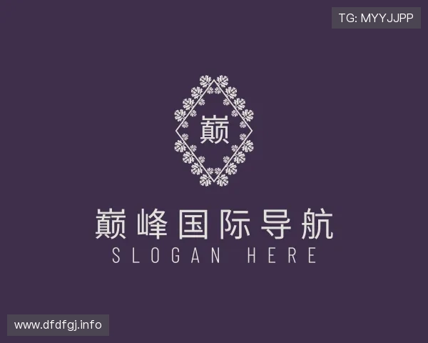 解读巅峰国际导航