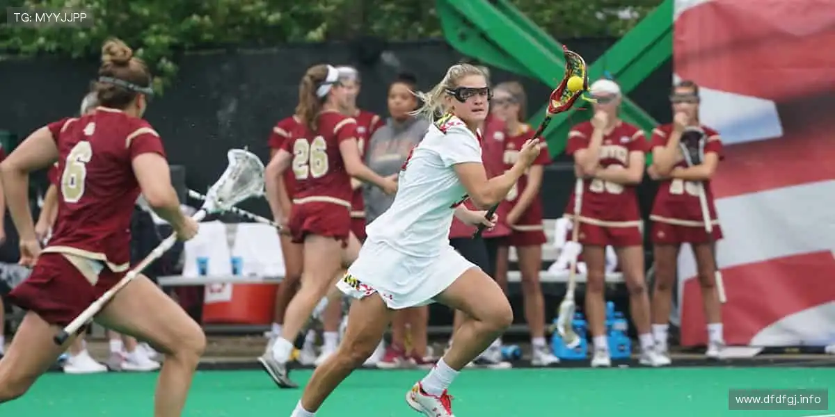 秘密入口，开启未知！🔑✨